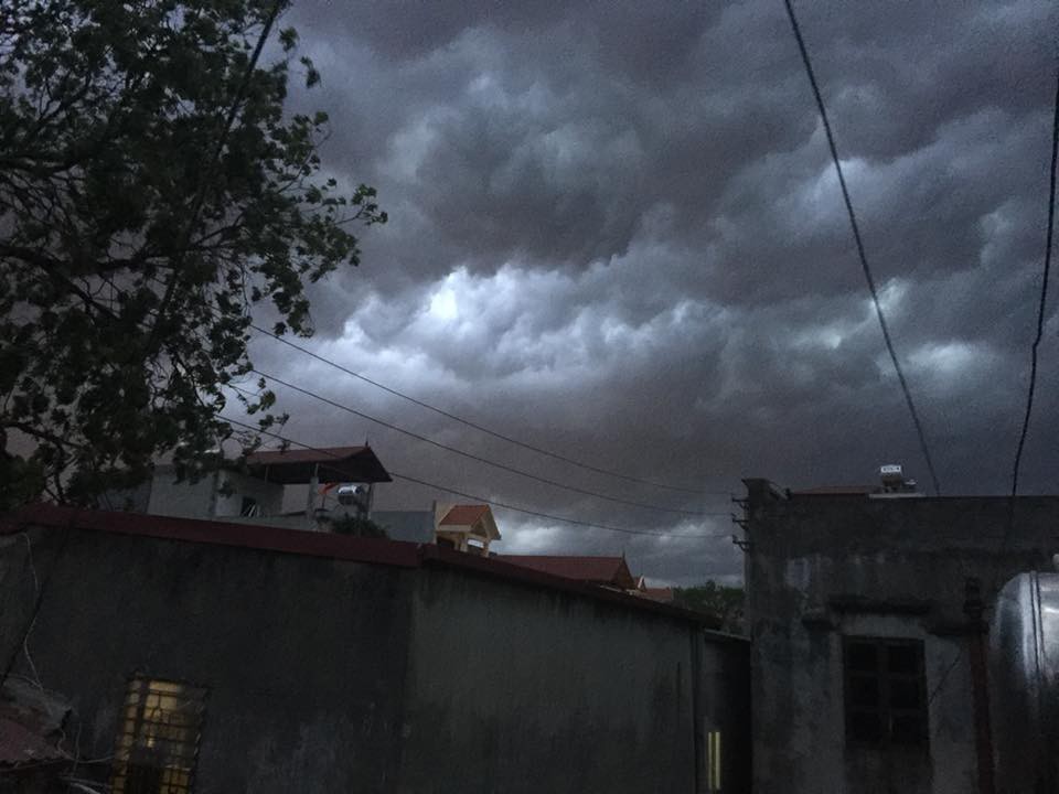 Clip: Hà Nội đón cơn mưa dông lớn kèm gió to khiến cây cối gãy đổ, đường bụi mù khiến người dân di chuyển vô cùng khó khăn